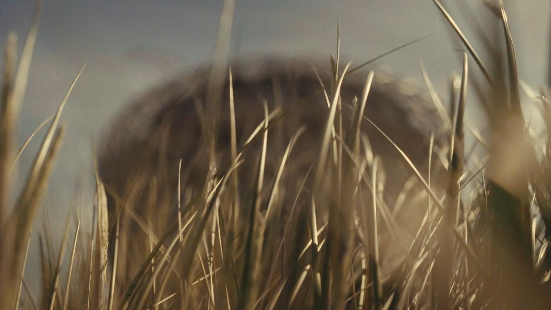 Silt 1920x 09